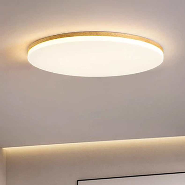 Energiezuinige LED Plafondlamp van Acrylaat