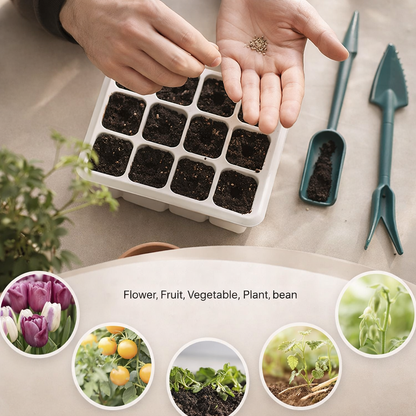 Kit zaaien binnenkweek | LED groeilamp, koepel | Planten