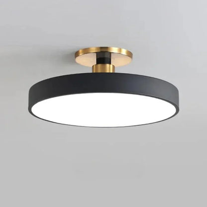 Elegante Vibrerende Plafondlamp met Kleuropties