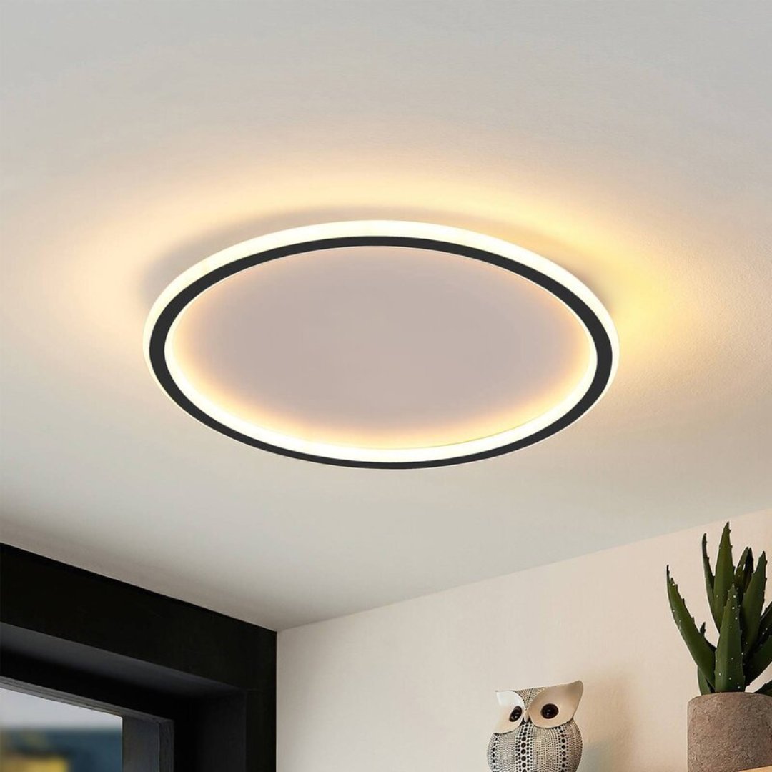 Quinn Moderne Ronde LED Plafondlamp Metaal/Acryl