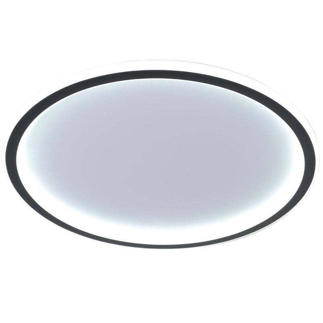 Quinn Moderne Ronde LED Plafondlamp Metaal/Acryl