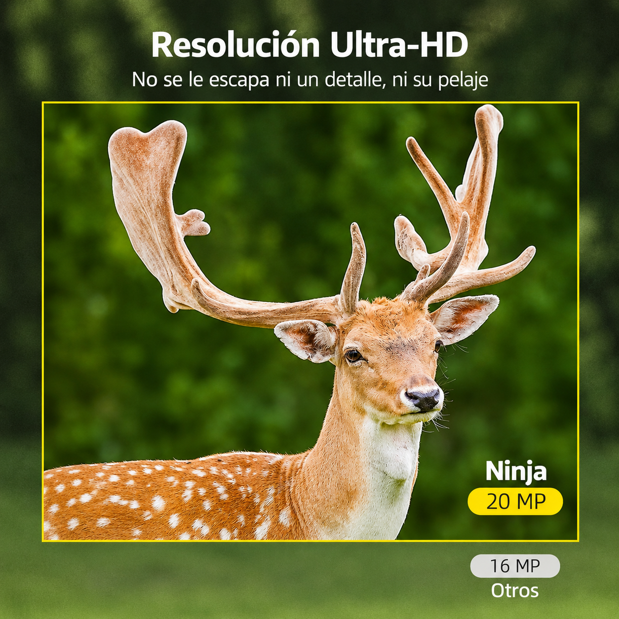 Draadloze HD Wildcamera - Wildleven - Nachtzicht