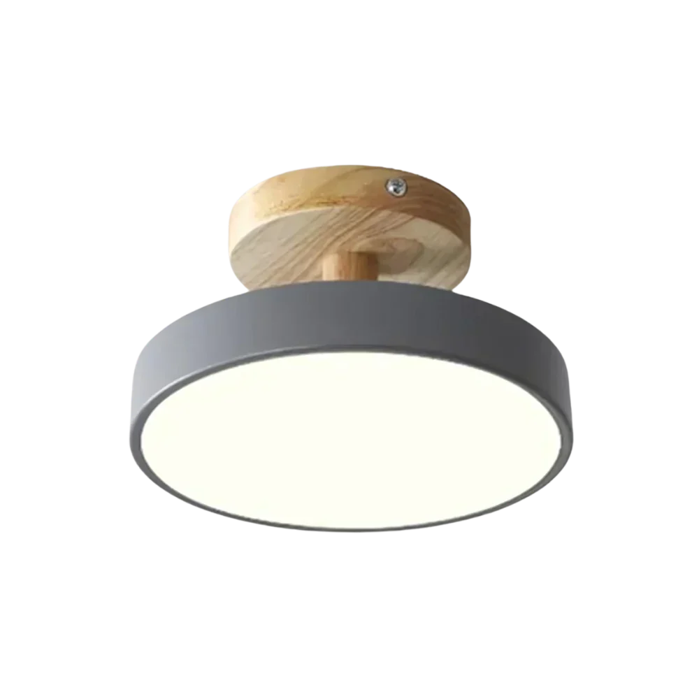 Moderne Vloerlamp met LED en Kleuropties