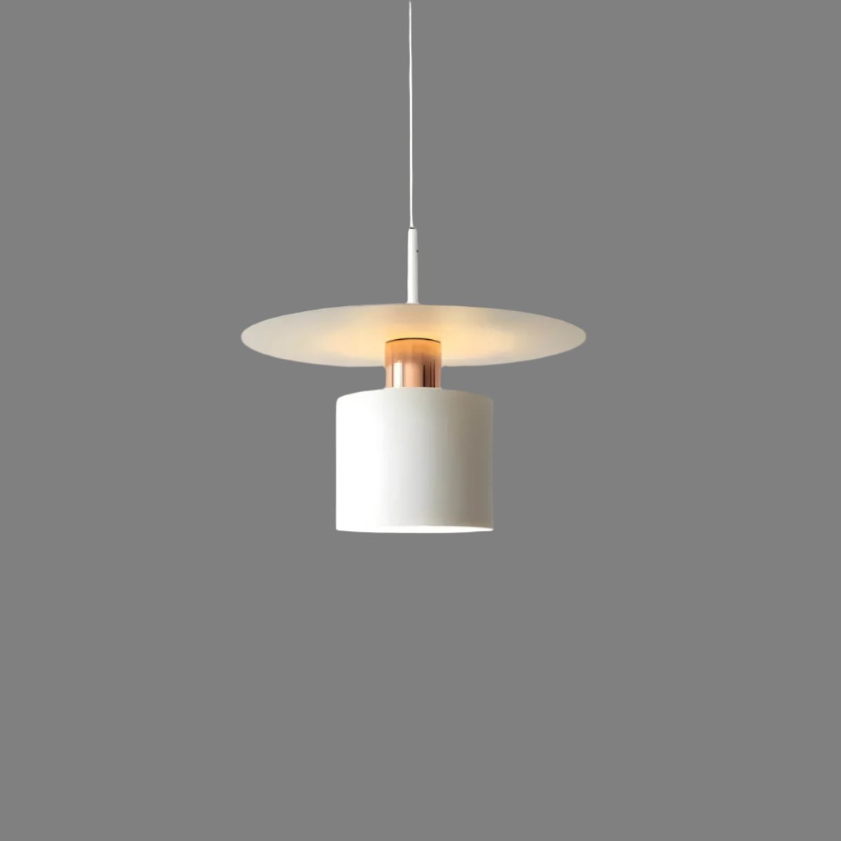 Moderne LED Pendel Lamp