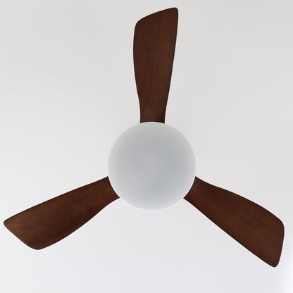 LuxeBreeze Houten Plafondventilator met Licht