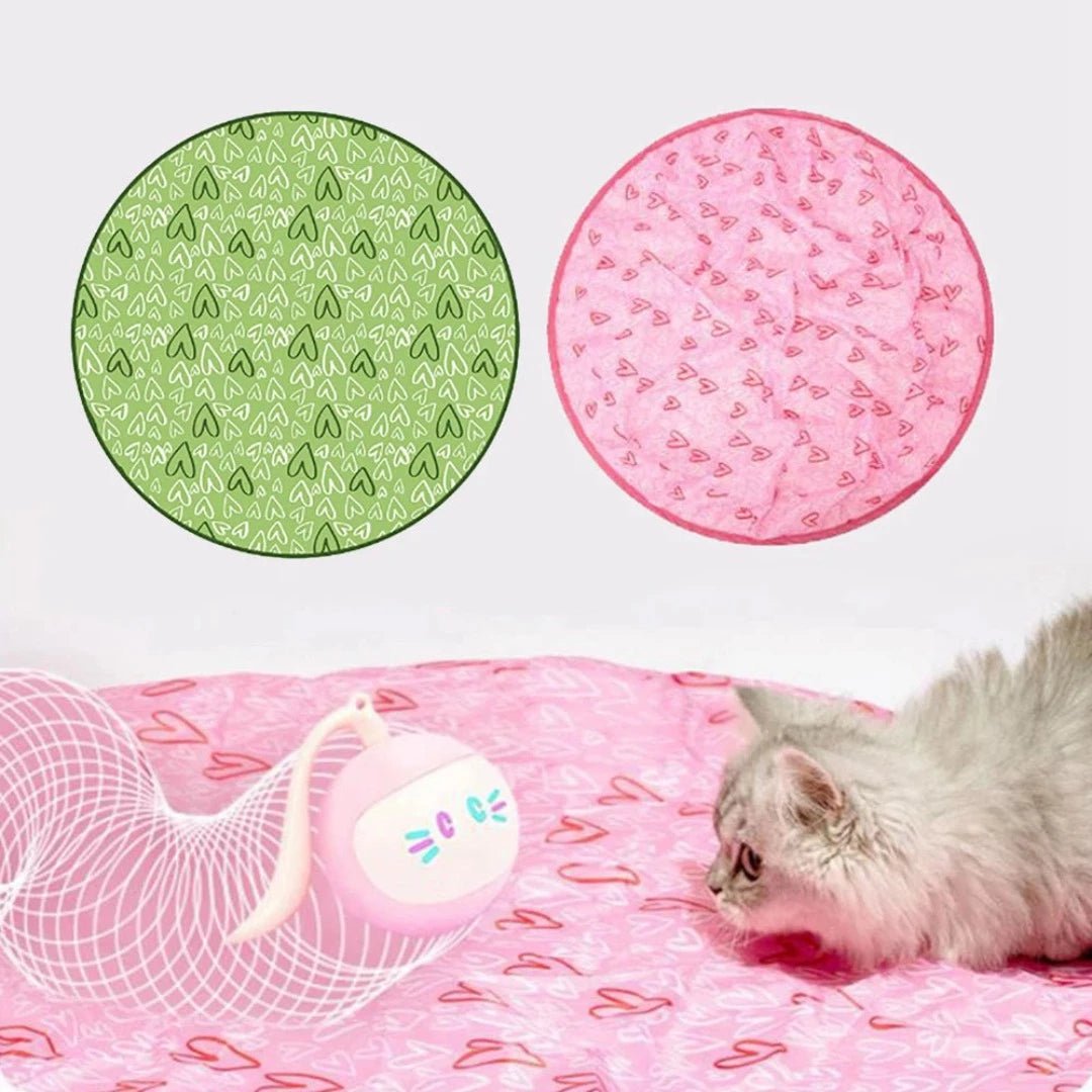 CatChase Duo | Interactief 2-in-1 Kattenspeeltje - #CatChase Duo | Interactief 2-in-1 KattenspeeltjeDe Bazelaar