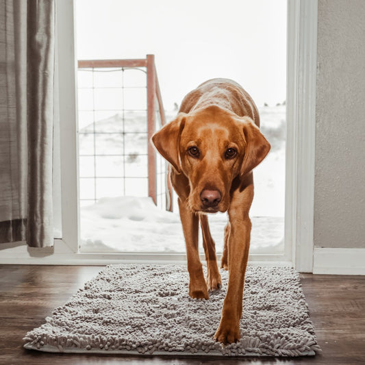 Clean-Mat | Hondendeurmat - #Clean-Mat | HondendeurmatDe Bazelaar