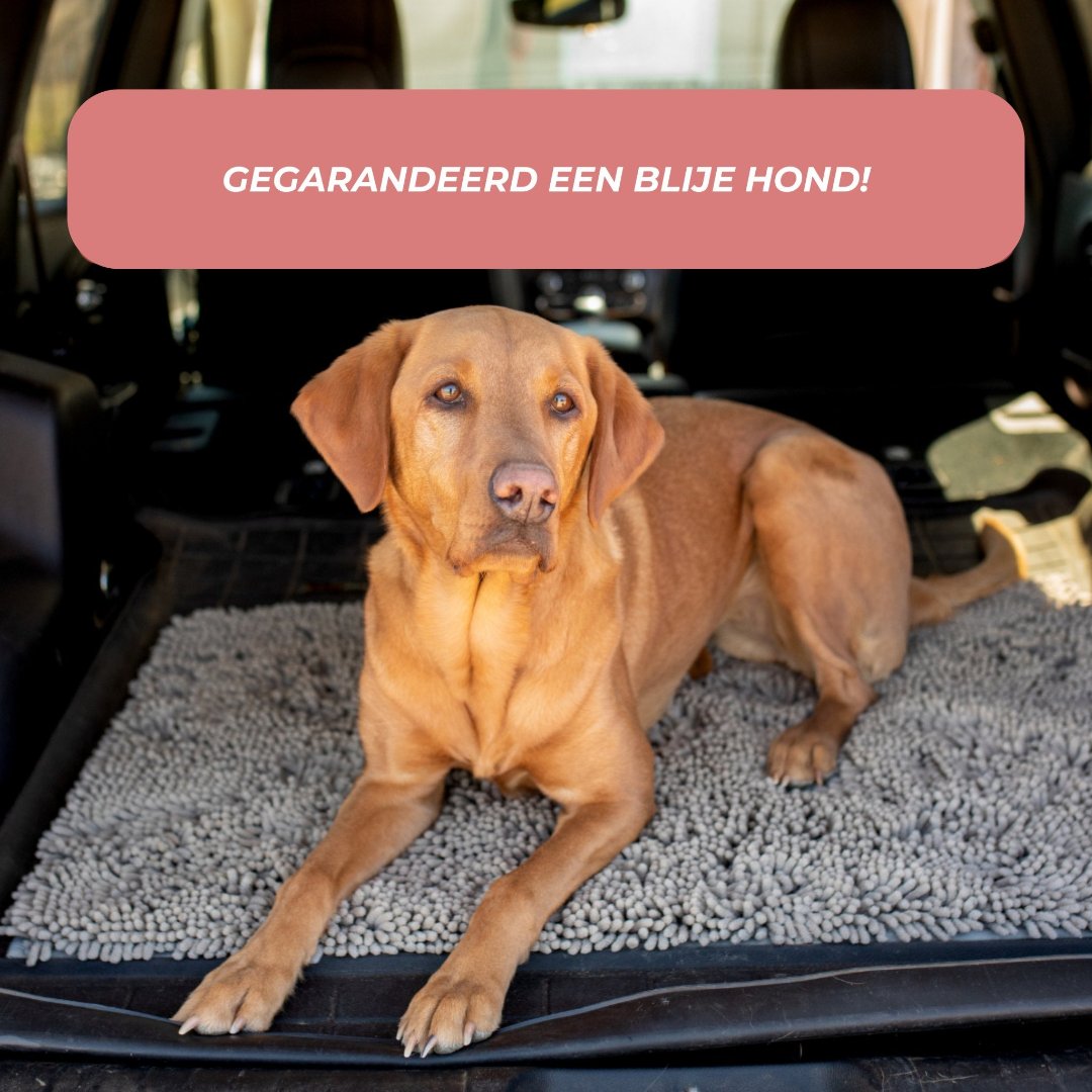 Clean-Mat | Hondendeurmat - #Clean-Mat | HondendeurmatDe Bazelaar