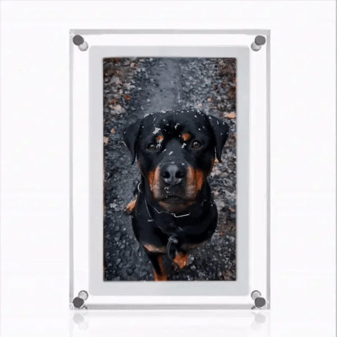 Memorie Frame™ | Voor Eeuwige Herinneringen - #Memorie Frame™ | Voor Eeuwige HerinneringenDe Bazelaar