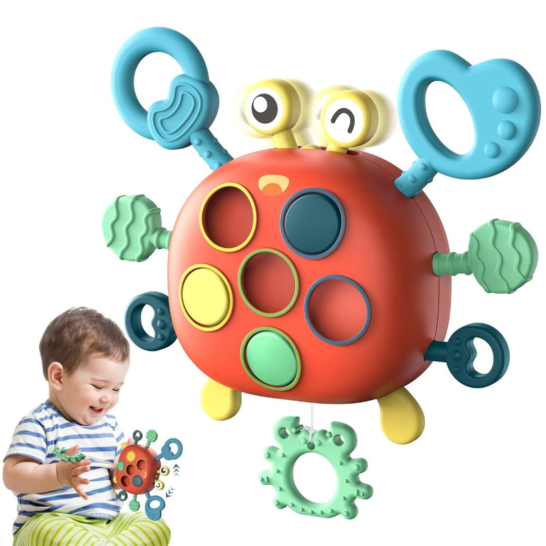 Sensory Crab™ | Motorische Speelgoed - #Sensory Crab™ | Motorische SpeelgoedDe Bazelaar