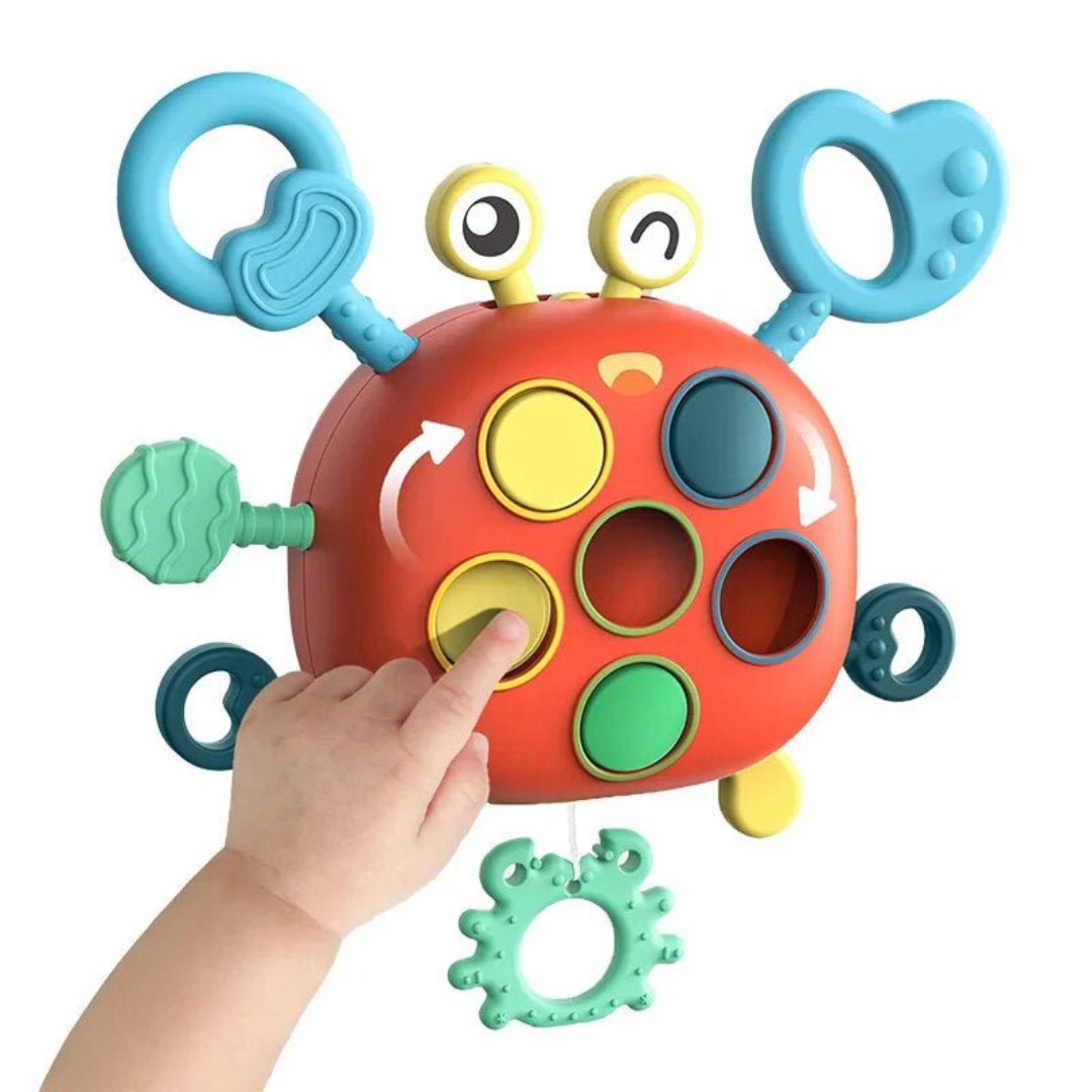 Sensory Crab™ | Motorische Speelgoed - #Sensory Crab™ | Motorische SpeelgoedDe Bazelaar